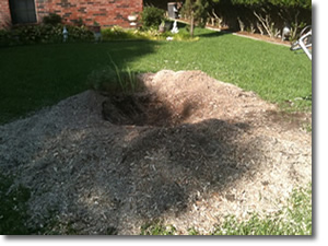 Stump Removal in Rockwall, Tx