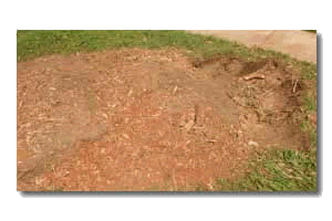 Rockwall stump Removal